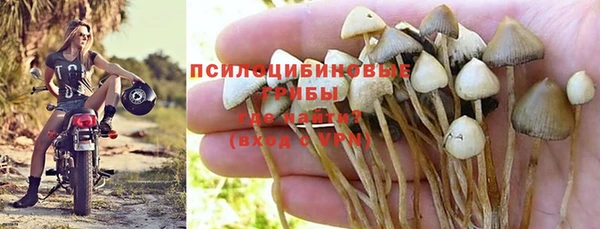 jwh Вяземский